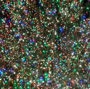 Meet your Posher, Kaitlyn